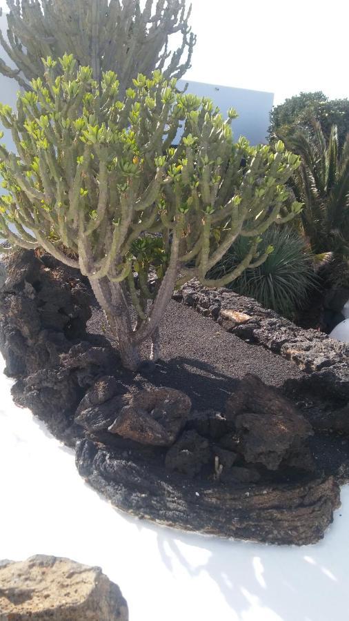 La Casita Ma Petite Folie Tenerife 圣克鲁斯-德特内里费 外观 照片